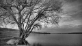 DSC01401