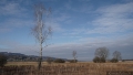 DSC01424