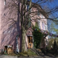 2025 04 Sonntag in Winti 3X000329