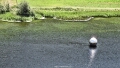 200728 Canon 0257