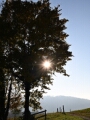 2021 10 Herbst mit Z7 NIK_4507