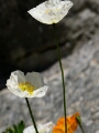 200807 Lumix 0825